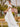 Boho Flutter Sleeve Wedding Dress