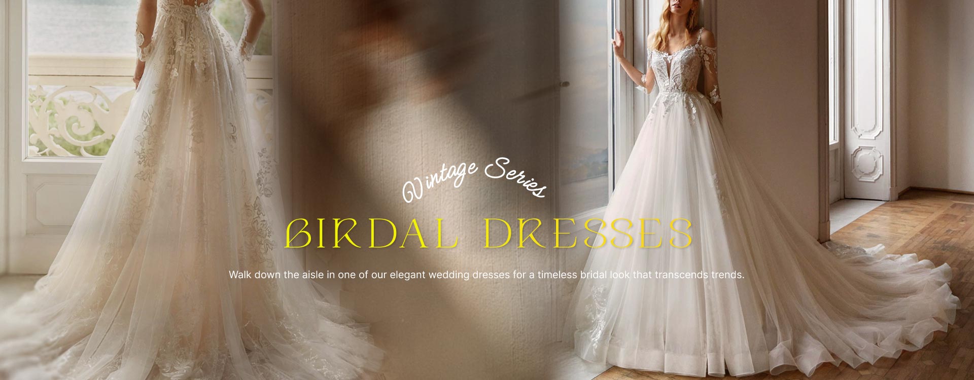 wedding dresses bridalvenus